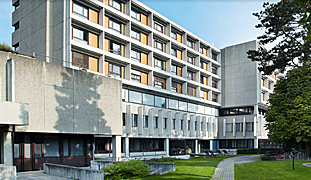 BoisCerf