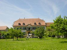 Cottier